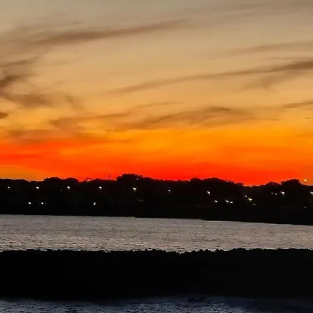 Daire Avec Vue Sur Mer Et Piscine Tropicale