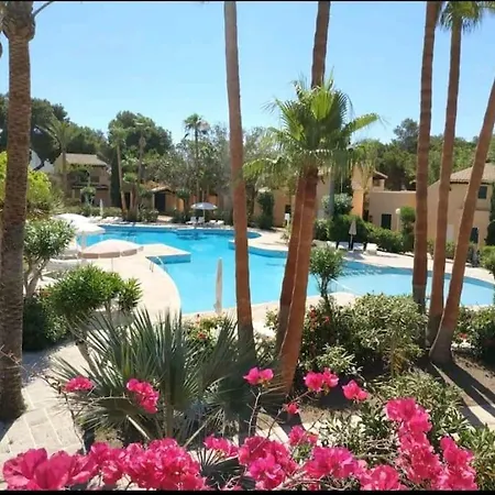 公寓 Avec Vue Sur Mer Et Piscine Tropicale