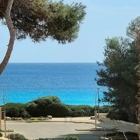 Avec Vue Sur Mer Et Piscine Tropicale 公寓